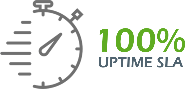 100% uptime SLA icon